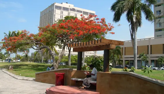 Kingston waterfront, Jamaica