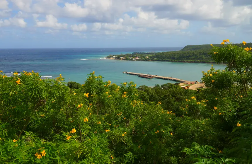 Green countryside at Rio Bueno, Jamaica