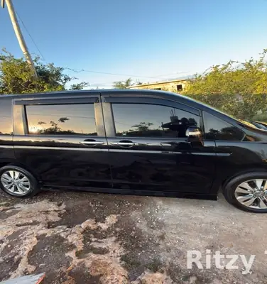 Ritzy Tours JA private air-conditioned minivan
