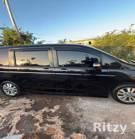 Ritzy Tours JA private air-conditioned minivan